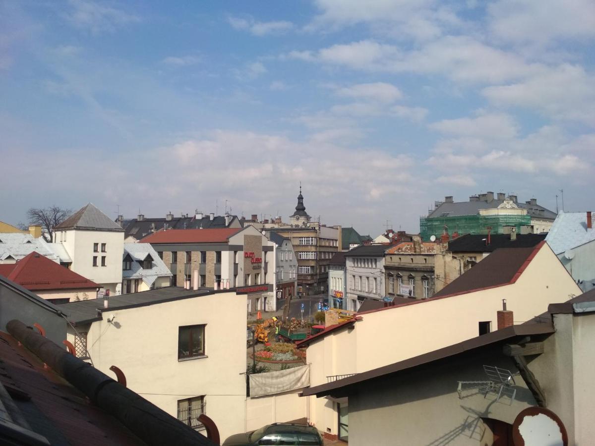 Apartament "Nad Niwka 7" Z Bezplatnym Zamykanym Parkingiem Bielsko-Biala Luaran gambar